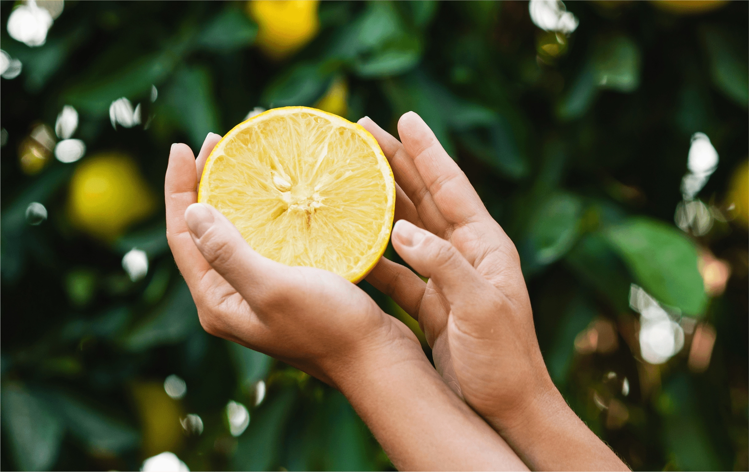 hands holding lemon